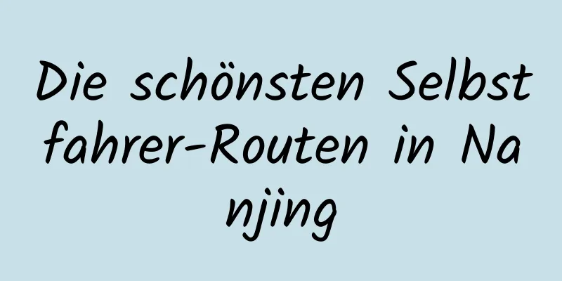 Die schönsten Selbstfahrer-Routen in Nanjing