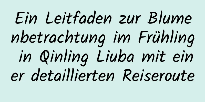 Ein Leitfaden zur Blumenbetrachtung im Frühling in Qinling Liuba mit einer detaillierten Reiseroute
