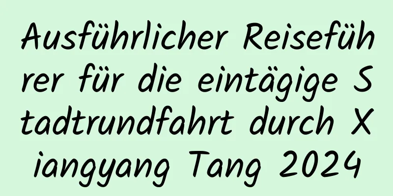 Ausführlicher Reiseführer für die eintägige Stadtrundfahrt durch Xiangyang Tang 2024