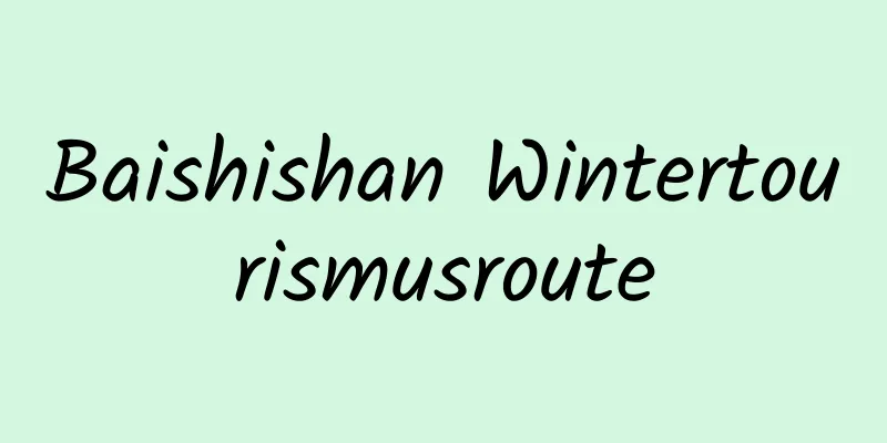 Baishishan Wintertourismusroute