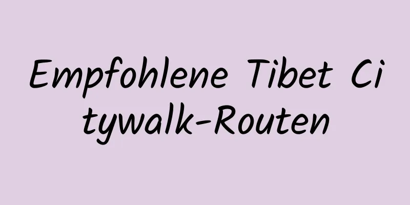 Empfohlene Tibet Citywalk-Routen