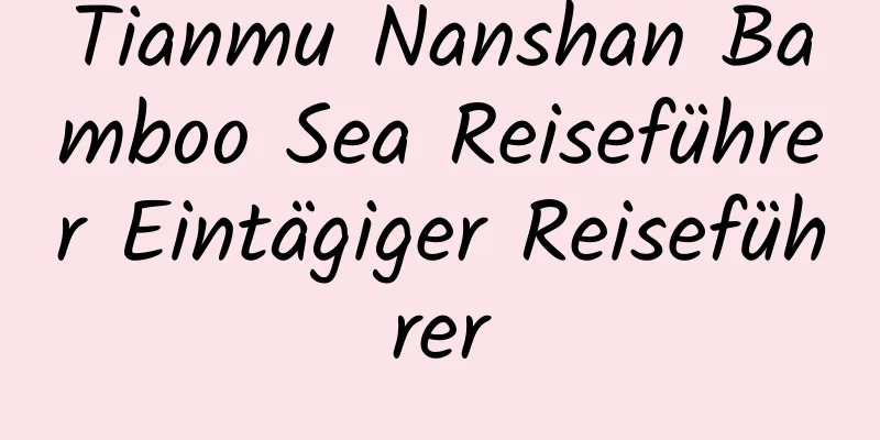 Tianmu Nanshan Bamboo Sea Reiseführer Eintägiger Reiseführer