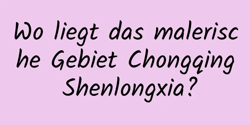 Wo liegt das malerische Gebiet Chongqing Shenlongxia?