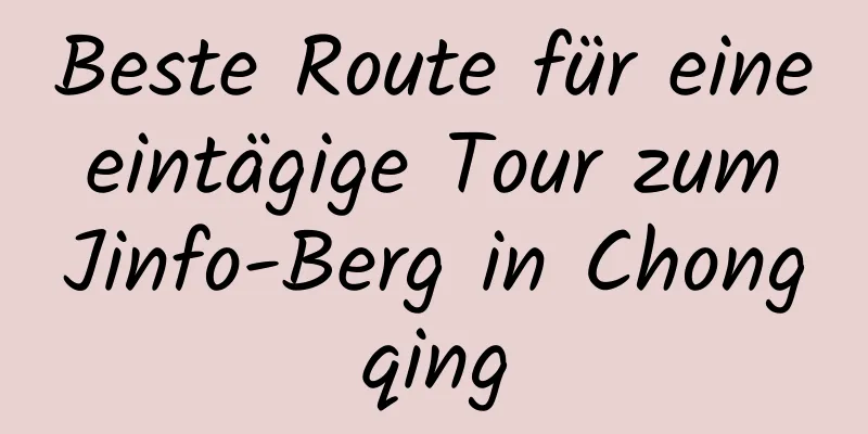 Beste Route für eine eintägige Tour zum Jinfo-Berg in Chongqing
