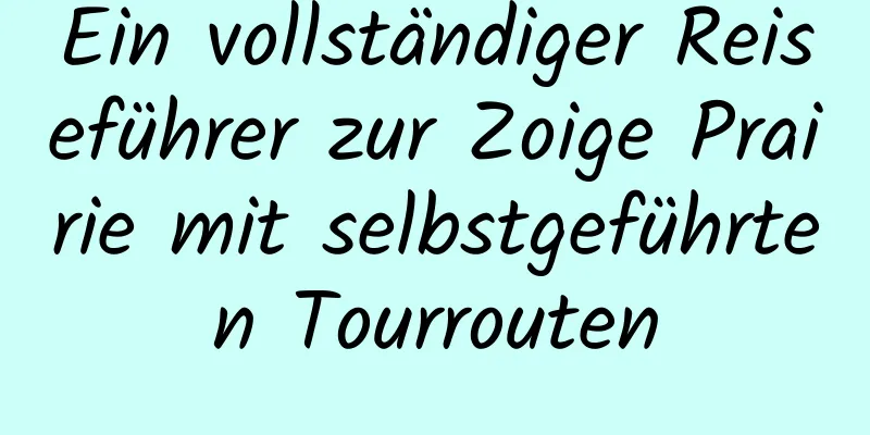 Ein vollständiger Reiseführer zur Zoige Prairie mit selbstgeführten Tourrouten