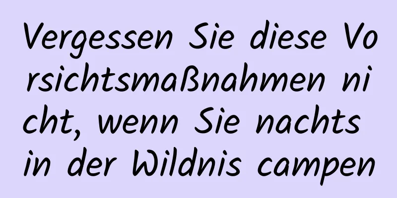 Vergessen Sie diese Vorsichtsmaßnahmen nicht, wenn Sie nachts in der Wildnis campen