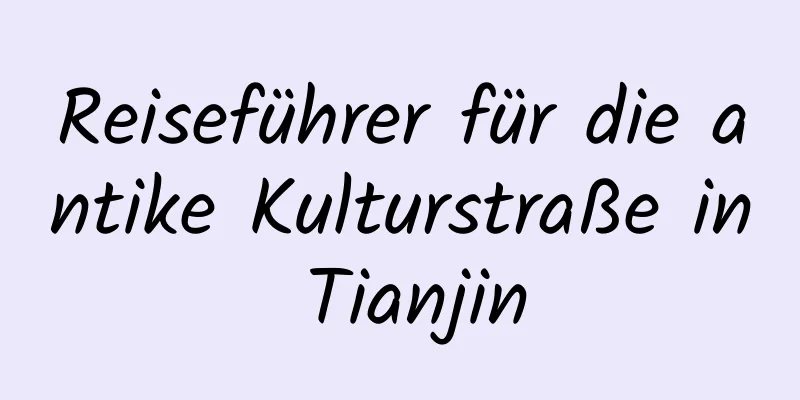 Reiseführer für die antike Kulturstraße in Tianjin