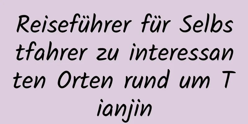Reiseführer für Selbstfahrer zu interessanten Orten rund um Tianjin