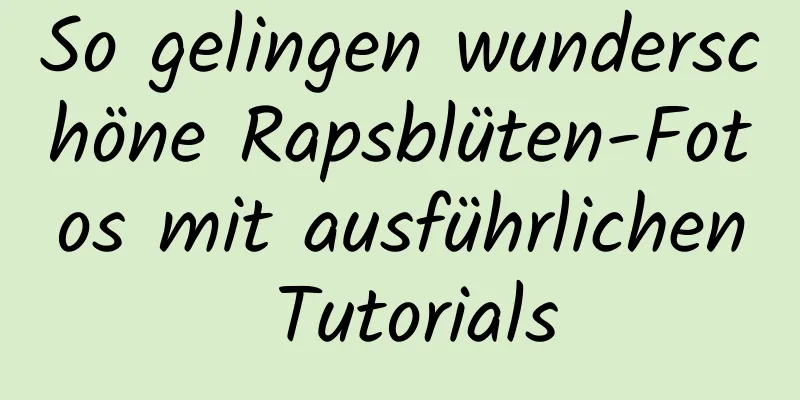 So gelingen wunderschöne Rapsblüten-Fotos mit ausführlichen Tutorials