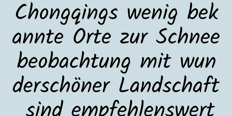 Chongqings wenig bekannte Orte zur Schneebeobachtung mit wunderschöner Landschaft sind empfehlenswert