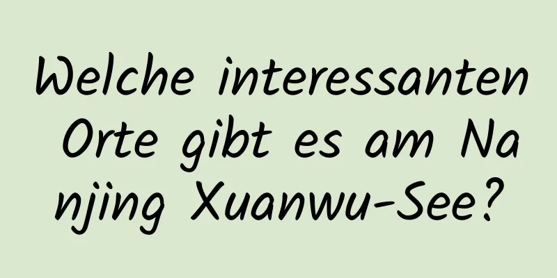 Welche interessanten Orte gibt es am Nanjing Xuanwu-See?