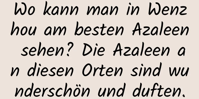 Wo kann man in Wenzhou am besten Azaleen sehen? Die Azaleen an diesen Orten sind wunderschön und duften.