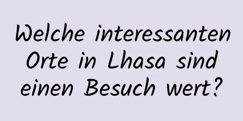 Welche interessanten Orte in Lhasa sind einen Besuch wert?