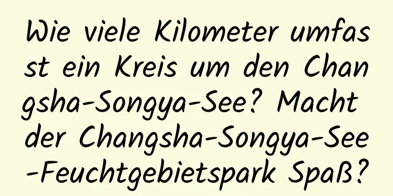 Wie viele Kilometer umfasst ein Kreis um den Changsha-Songya-See? Macht der Changsha-Songya-See-Feuchtgebietspark Spaß?