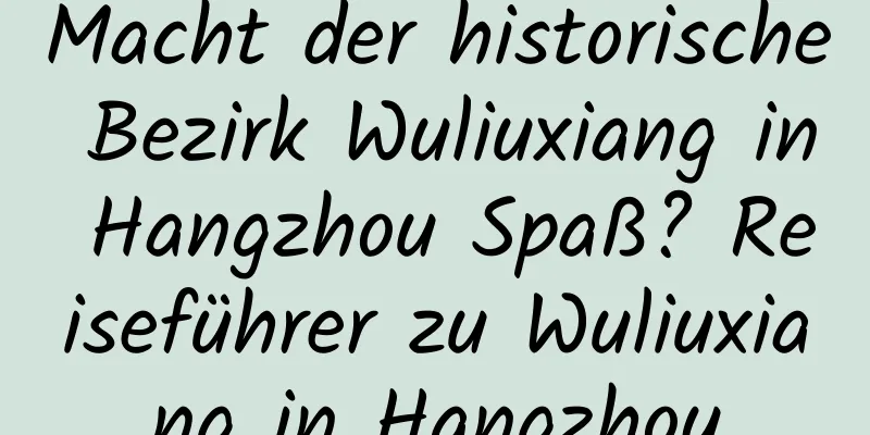 Macht der historische Bezirk Wuliuxiang in Hangzhou Spaß? Reiseführer zu Wuliuxiang in Hangzhou