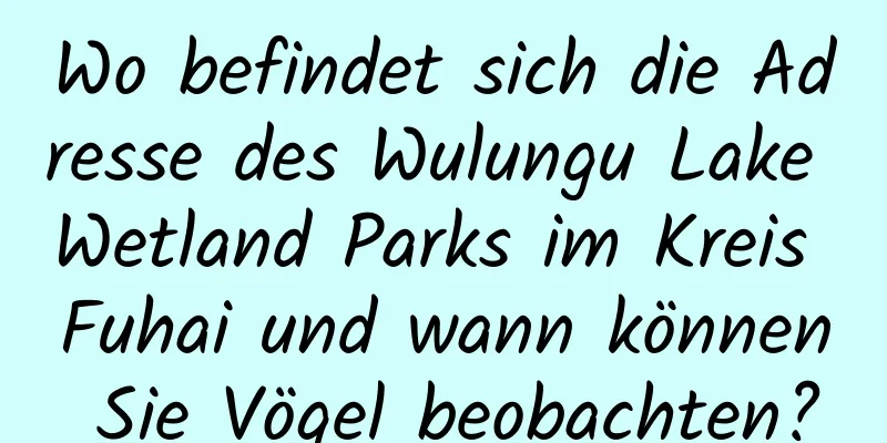 Wo befindet sich die Adresse des Wulungu Lake Wetland Parks im Kreis Fuhai und wann können Sie Vögel beobachten?