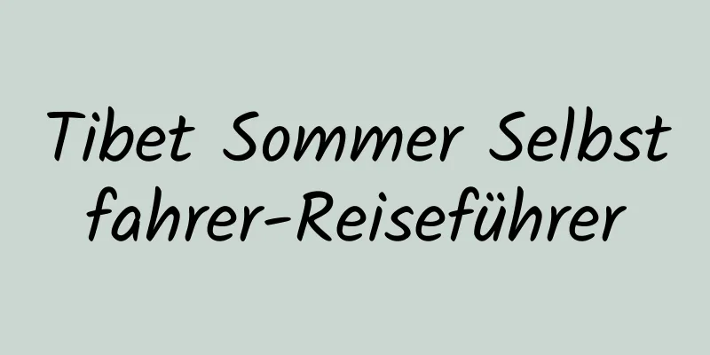 Tibet Sommer Selbstfahrer-Reiseführer