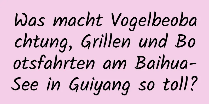 Was macht Vogelbeobachtung, Grillen und Bootsfahrten am Baihua-See in Guiyang so toll?