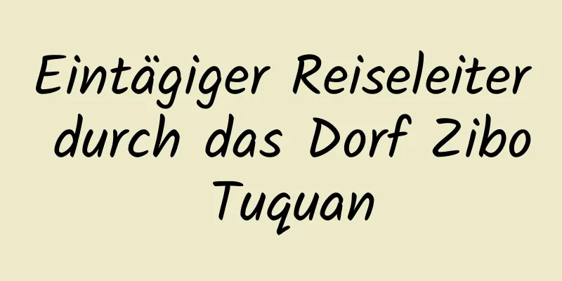 Eintägiger Reiseleiter durch das Dorf Zibo Tuquan