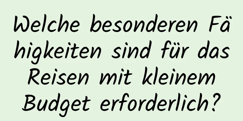 Welche besonderen Fähigkeiten sind für das Reisen mit kleinem Budget erforderlich?