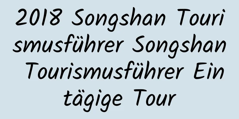 2018 Songshan Tourismusführer Songshan Tourismusführer Eintägige Tour