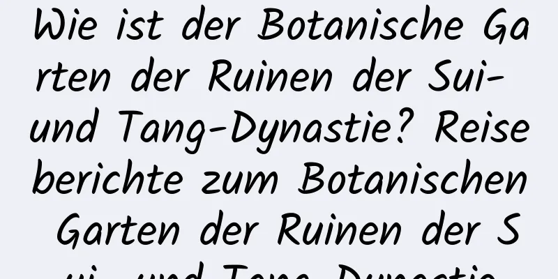 Wie ist der Botanische Garten der Ruinen der Sui- und Tang-Dynastie? Reiseberichte zum Botanischen Garten der Ruinen der Sui- und Tang-Dynastie