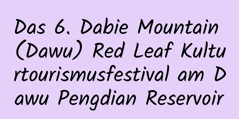 Das 6. Dabie Mountain (Dawu) Red Leaf Kulturtourismusfestival am Dawu Pengdian Reservoir