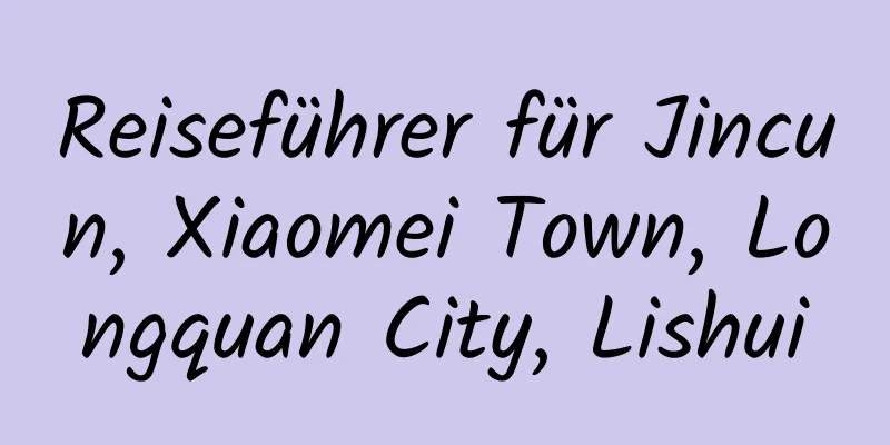 Reiseführer für Jincun, Xiaomei Town, Longquan City, Lishui