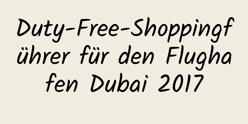Duty-Free-Shoppingführer für den Flughafen Dubai 2017