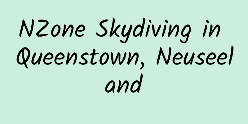 NZone Skydiving in Queenstown, Neuseeland