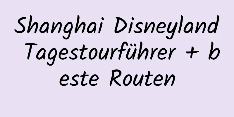 Shanghai Disneyland Tagestourführer + beste Routen