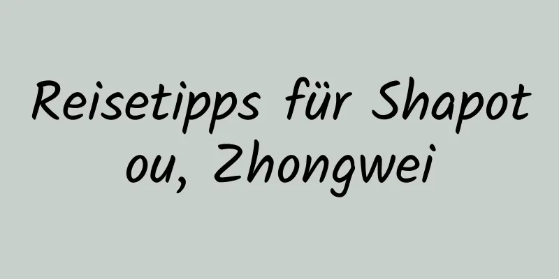 Reisetipps für Shapotou, Zhongwei
