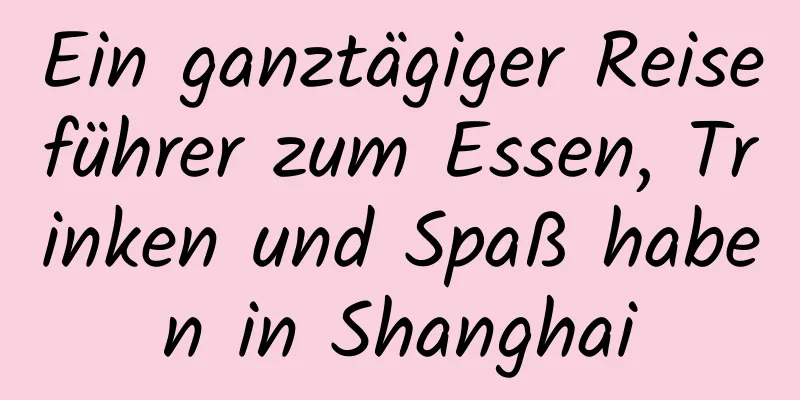 Ein ganztägiger Reiseführer zum Essen, Trinken und Spaß haben in Shanghai