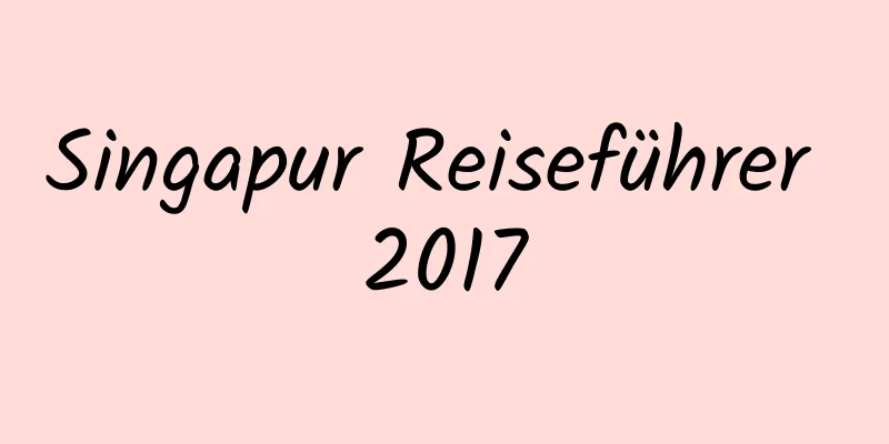 Singapur Reiseführer 2017