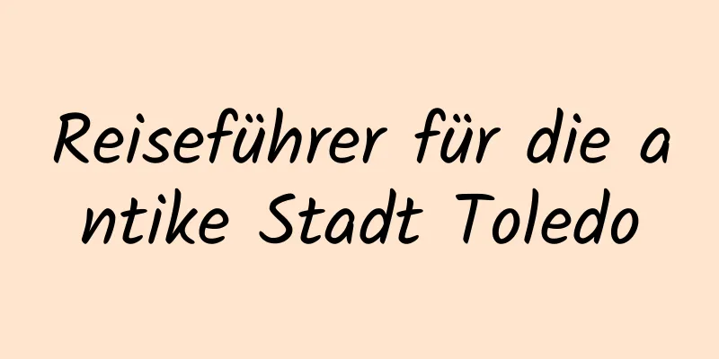 Reiseführer für die antike Stadt Toledo